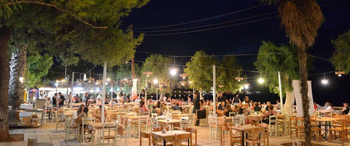 An Edens Garden Near The Sea - Pansion Youli * Selianitika